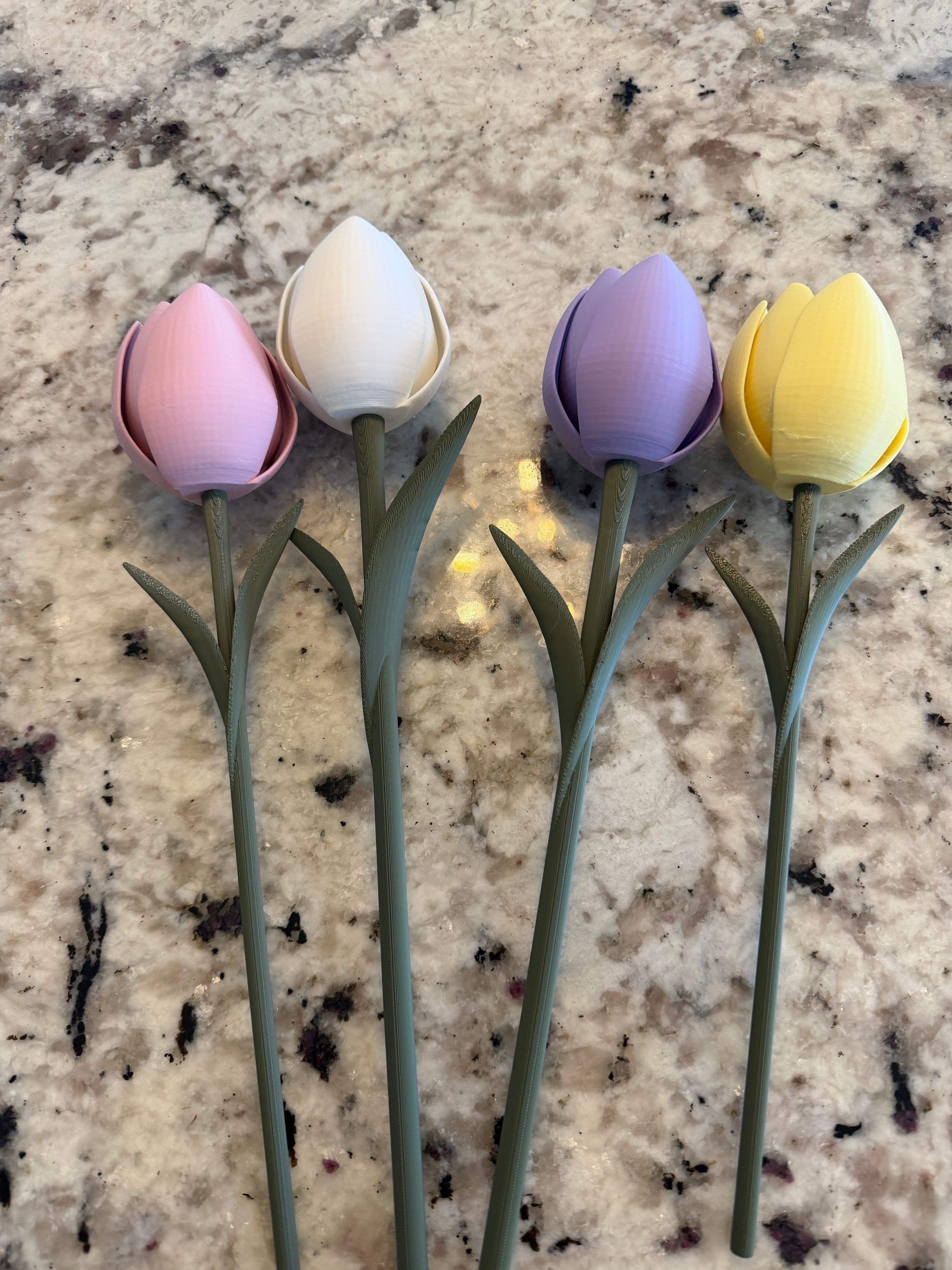 Single Tulips