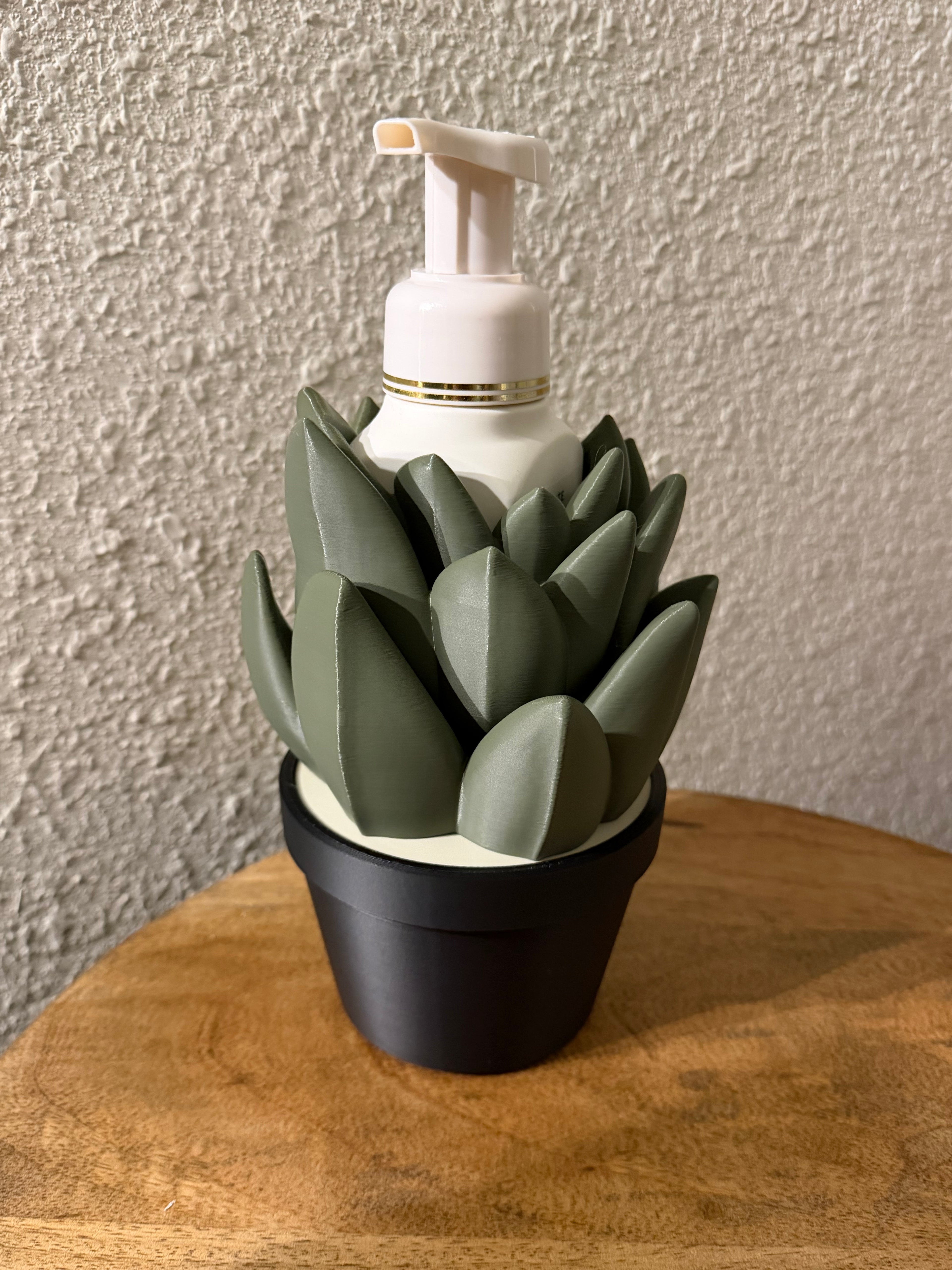 Succulent Soap Holders