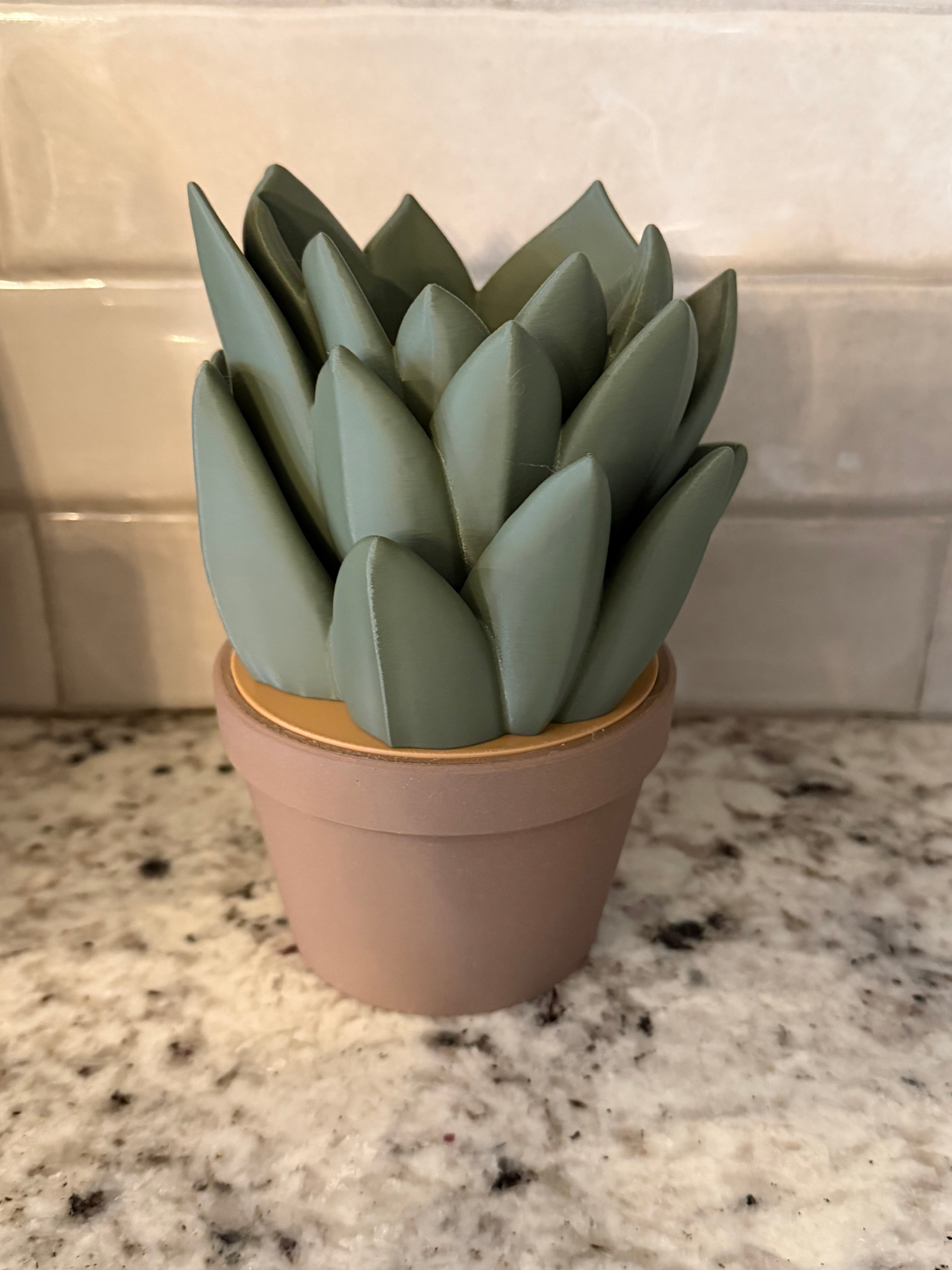 Succulent Soap Holders