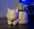 Cat succulent /plant holder